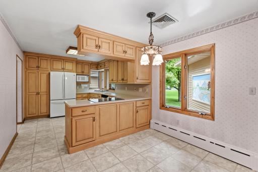 719 Park Avenue, Hamburg, MN 55339