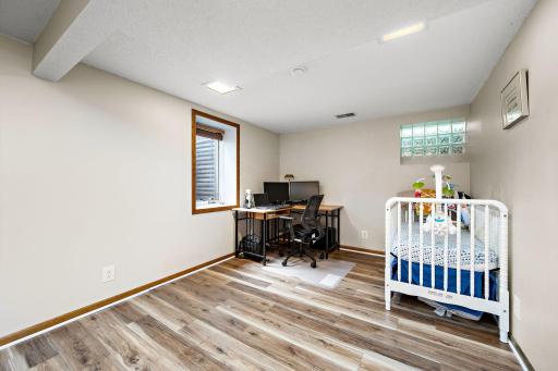 Bedroom 3 in lower lever, with a walk-in closet