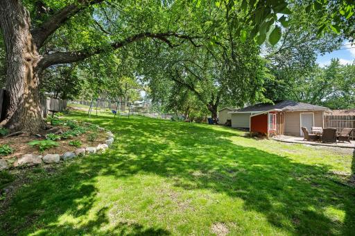 Mature trees offering natural shade on hot days!