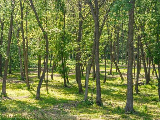 17887 Riverwood Drive, Little Falls, MN 56345