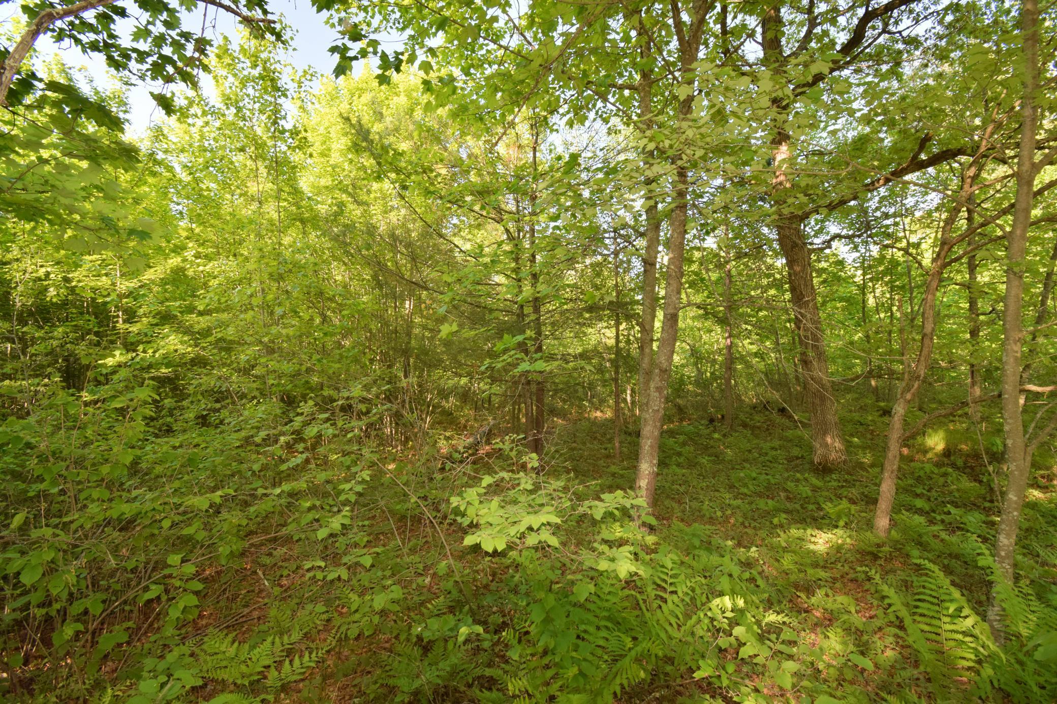 DSC_0010.JPG