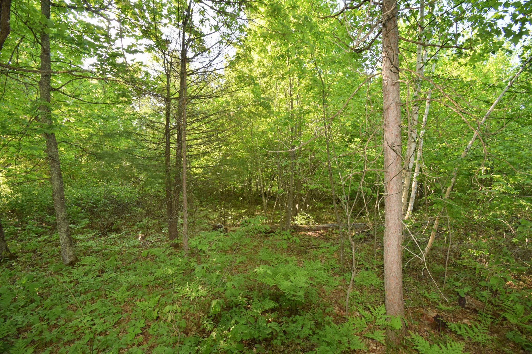 DSC_0022.JPG