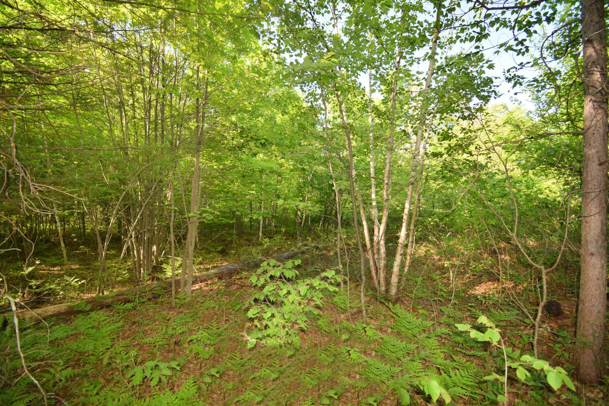 DSC_0017.JPG