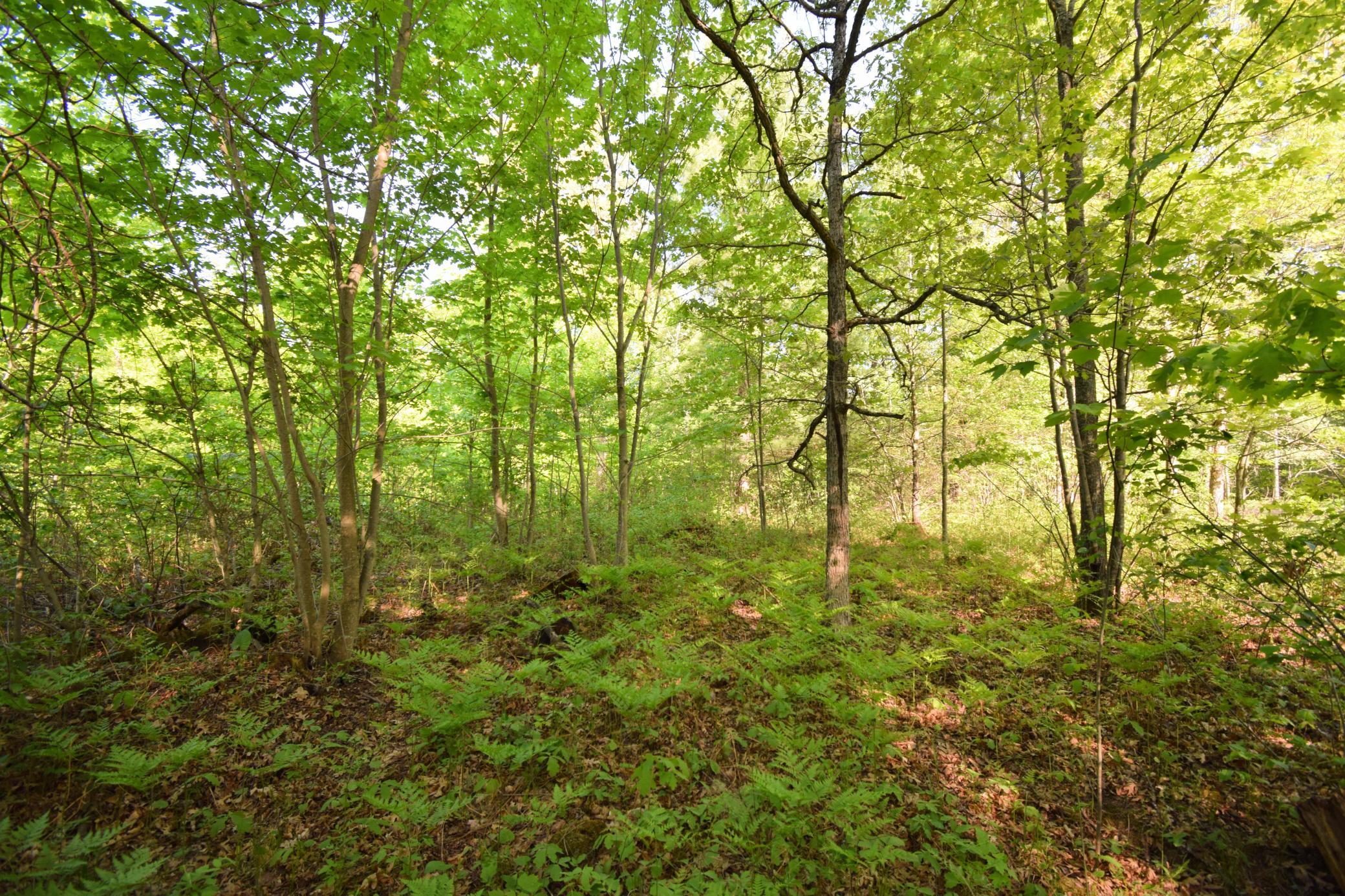 DSC_0016.JPG