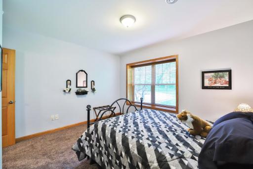 24397 Fishtrap Road, Nisswa, MN 56468