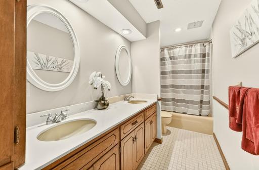 2117 Telemark Lane NW, Rochester, MN 55901