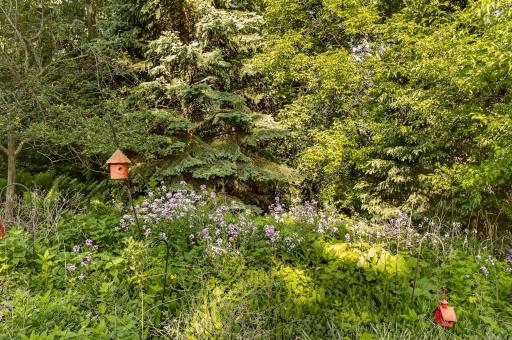 2117 Telemark Lane NW, Rochester, MN 55901