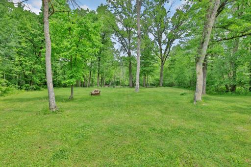 Park-like yard with fire pit closer to the home and one close to the river.