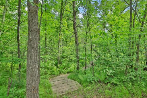 Stairs to go down to the back yard.