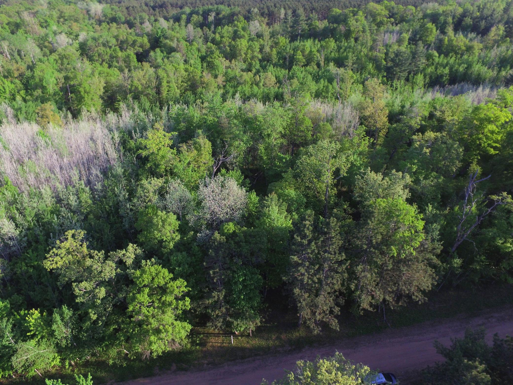 DJI_0053.JPG