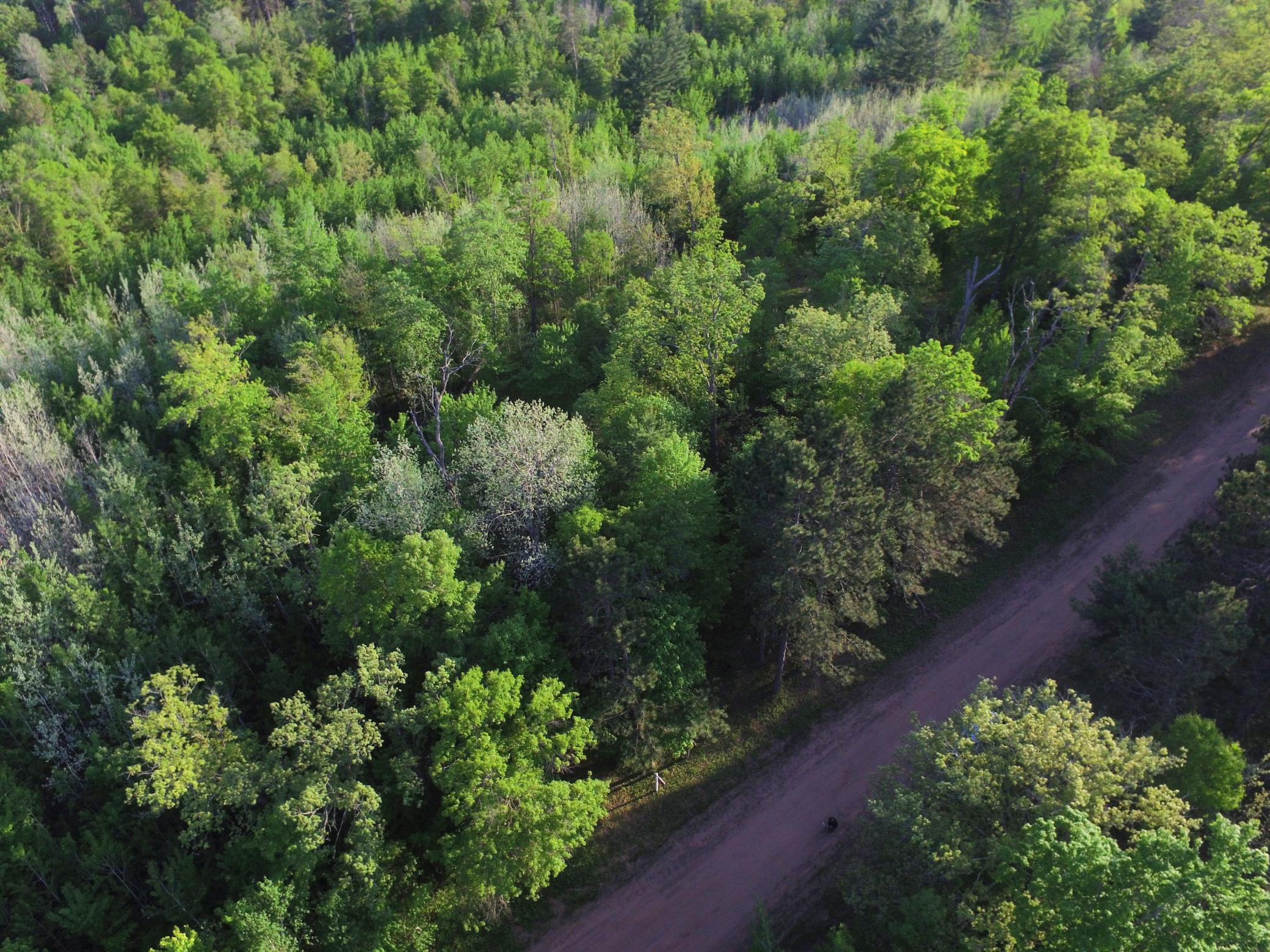 DJI_0054.JPG