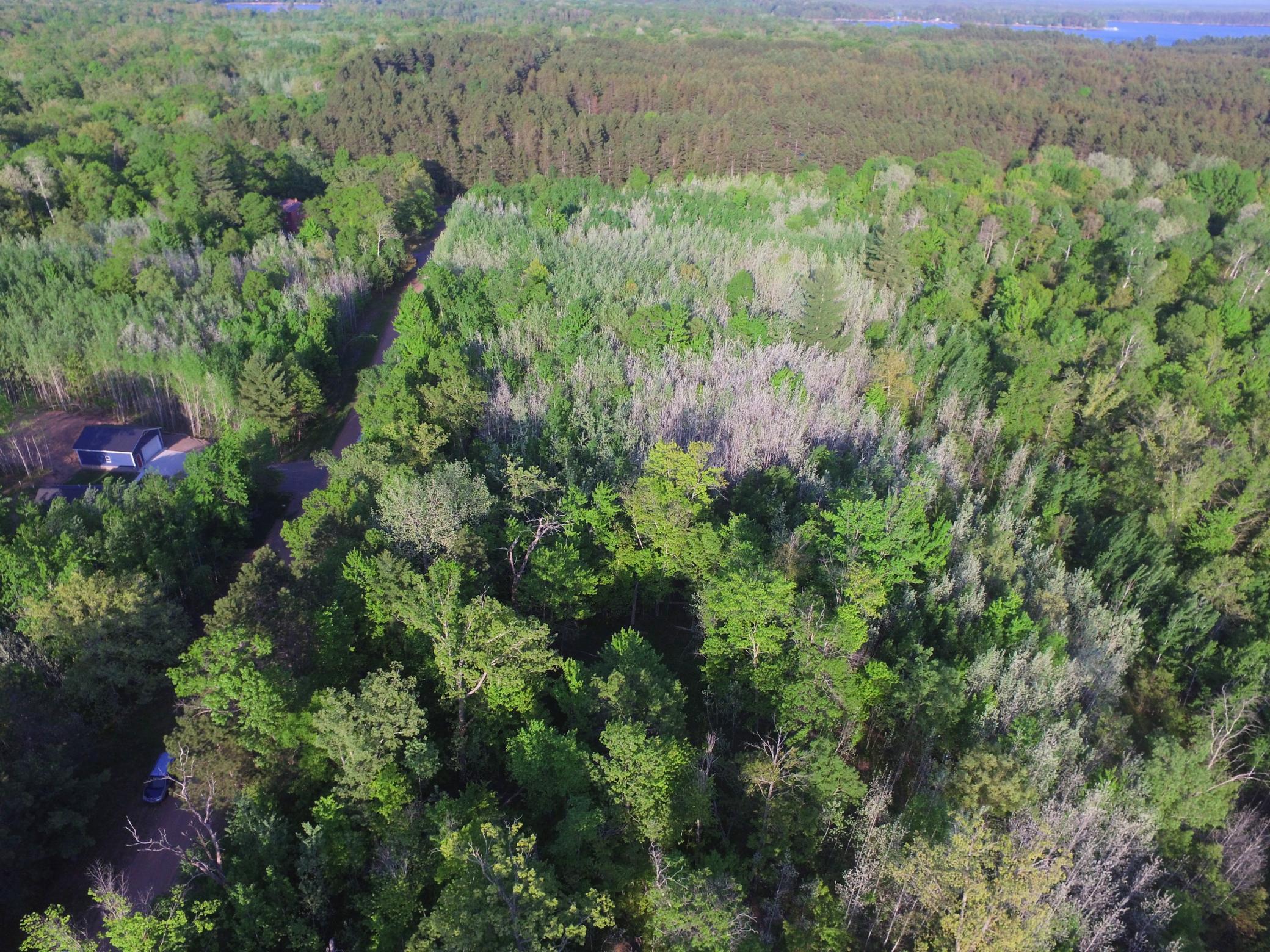DJI_0066.JPG