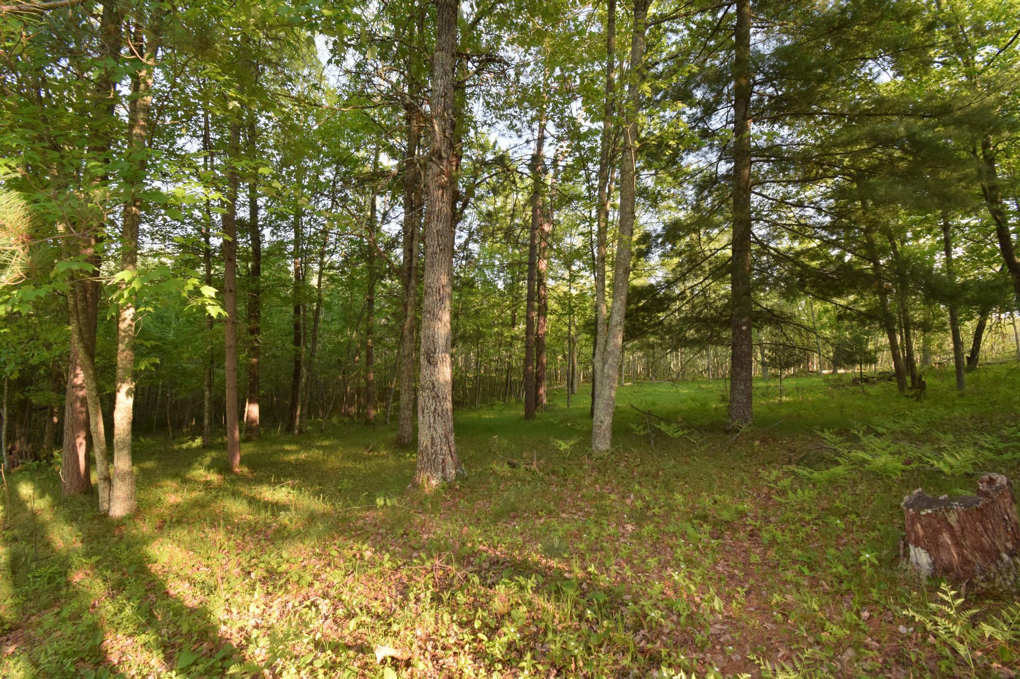 DSC_0046.JPG