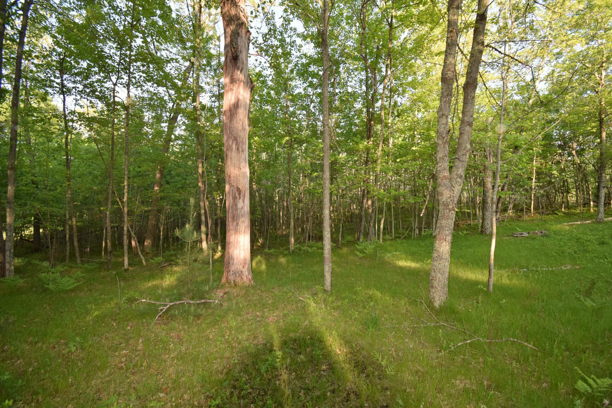 DSC_0055.JPG