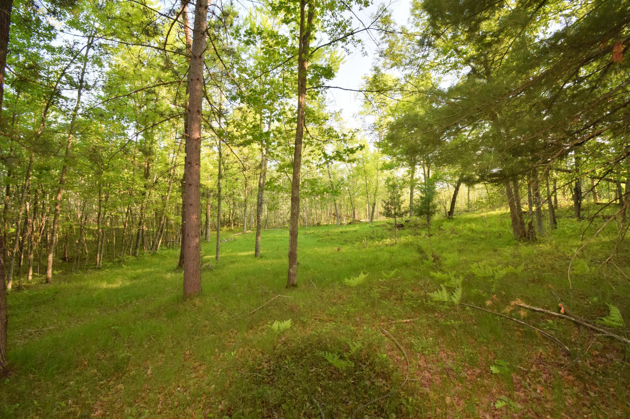 DSC_0048.JPG