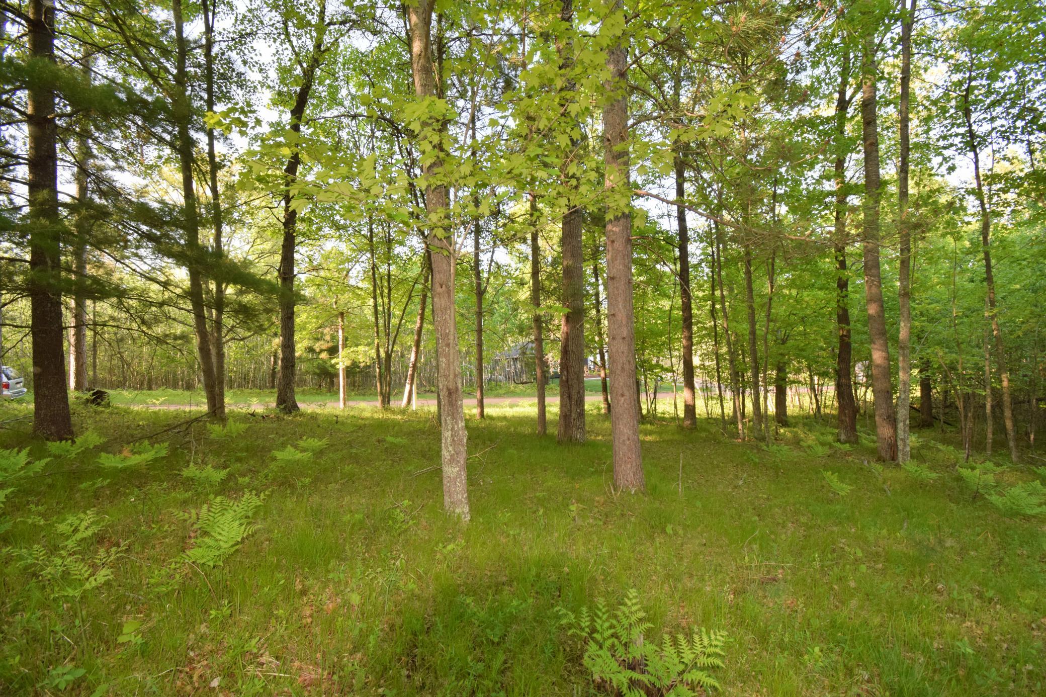 DSC_0052.JPG