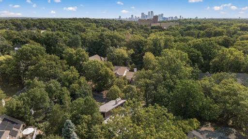 Tucked among mature trees on a quiet street, yet just minutes from downtown Minneapolis.