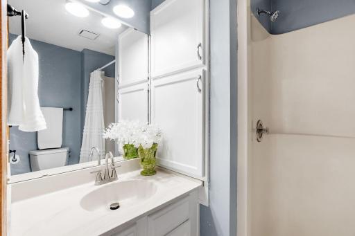 1257 Donegal Alcove, Saint Paul, MN 55125