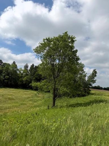 Lot 2 County Rd F, Boyceville, WI 54725
