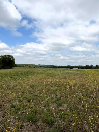 Lot 2 County Rd F, Boyceville, WI 54725