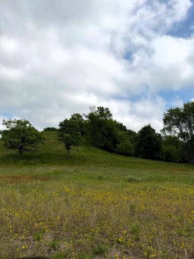 Lot 2 County Rd F, Boyceville, WI 54725
