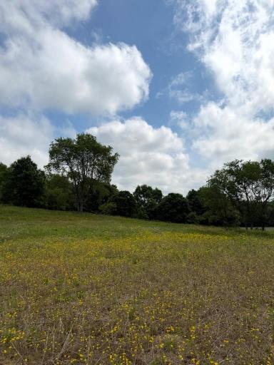 Lot 2 County Rd F, Boyceville, WI 54725