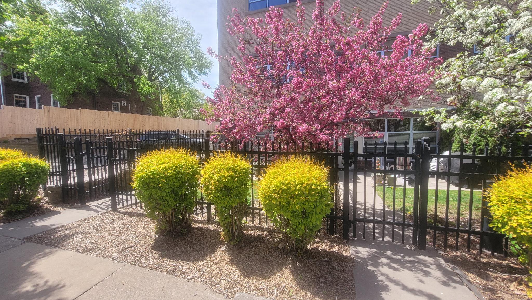 Spring foliage at it's best.