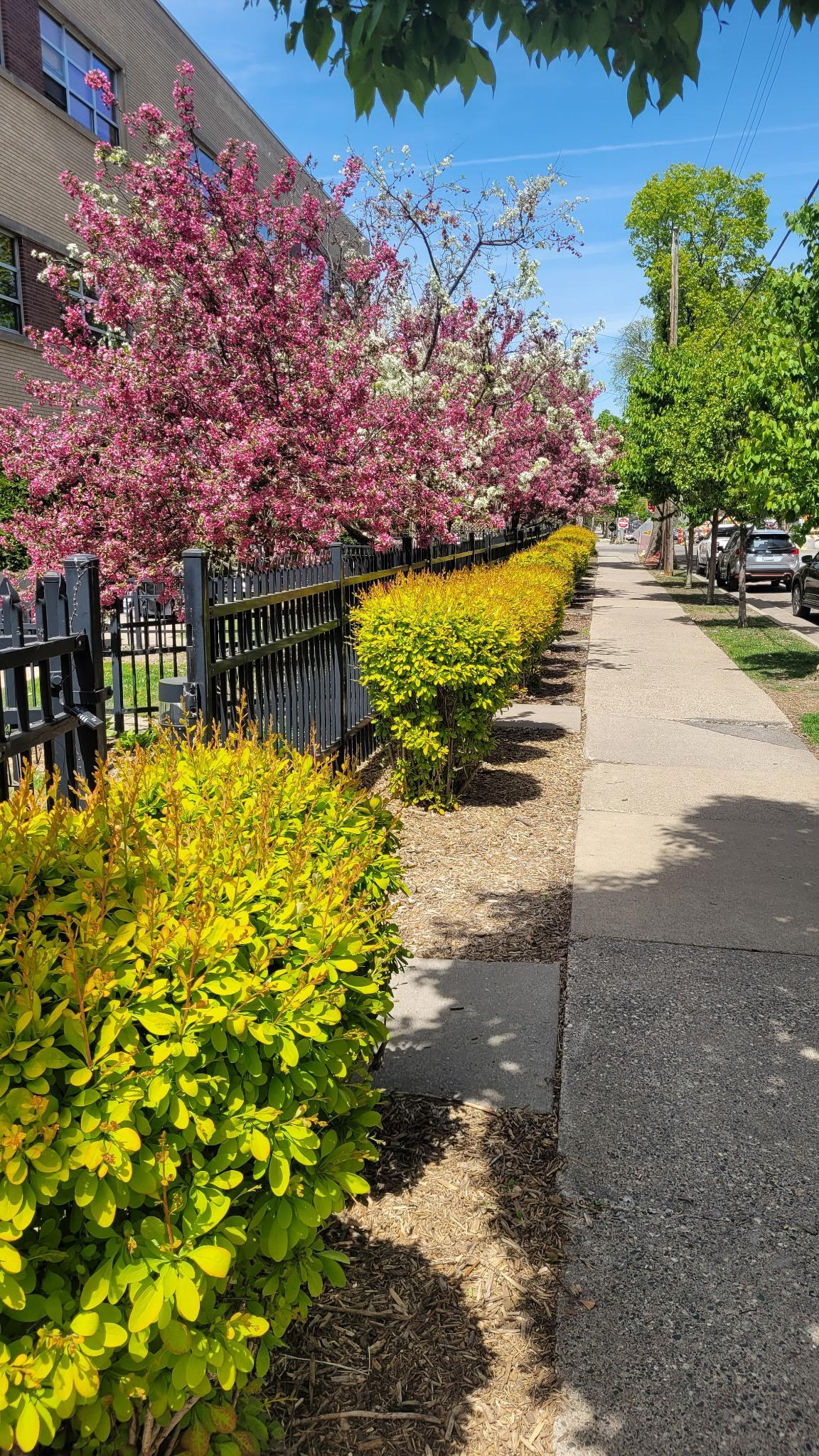 Calm your mind with a leisure walk and the smells of nature.