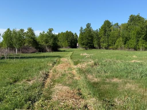 54003 Dollar Lake Road, Sandstone, MN 55072