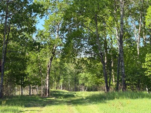 54003 Dollar Lake Road, Sandstone, MN 55072