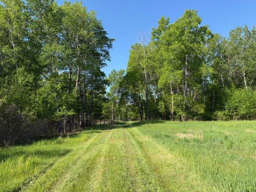 Welcome to this amazing hunting property!