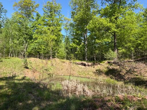 54003 Dollar Lake Road, Sandstone, MN 55072