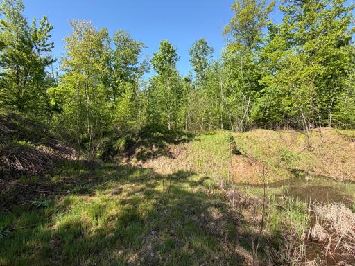 54003 Dollar Lake Road, Sandstone, MN 55072