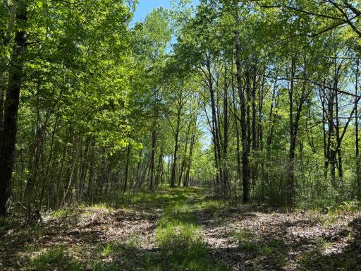 54003 Dollar Lake Road, Sandstone, MN 55072