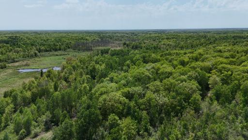 54003 Dollar Lake Road, Sandstone, MN 55072
