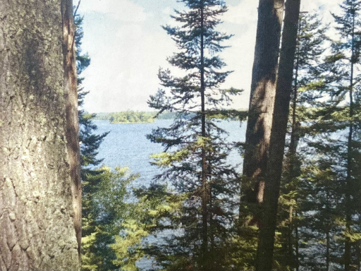 view 1.png
