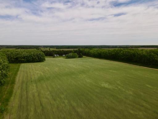 dji_fly_20260602_104836_884_1780415794793_photo.jpg