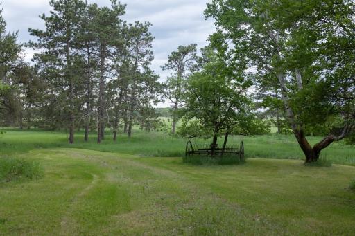14034 Knob Hill Road, Wadena, MN 56482