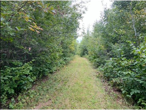 12157 Butternut Road, Brainerd, MN 56401