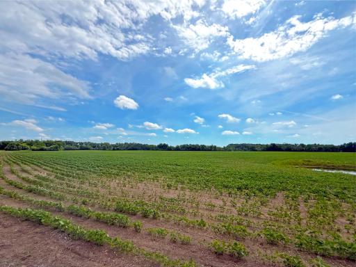 1383 120th Street NE, Monticello, MN 55362
