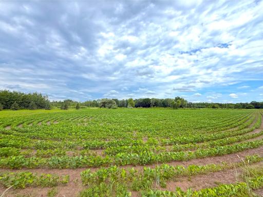 1383 120th Street NE, Monticello, MN 55362