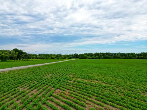 1383 120th Street NE, Monticello, MN 55362