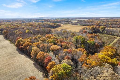 71xxx 165th Avenue SE, Becker, MN 55308