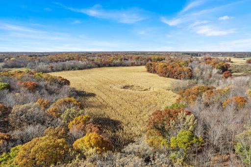 71xxx 165th Avenue SE, Becker, MN 55308