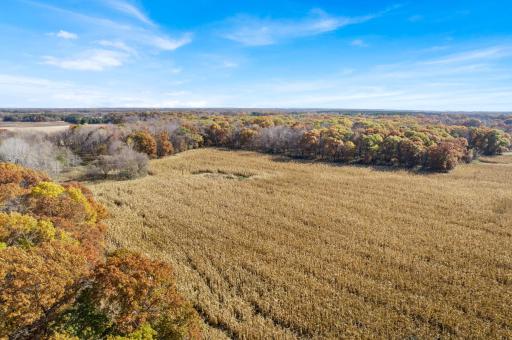71xxx 165th Avenue SE, Becker, MN 55308