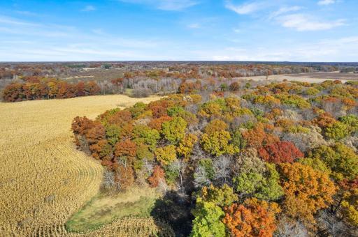 71xxx 165th Avenue SE, Becker, MN 55308