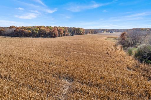 71xxx 165th Avenue SE, Becker, MN 55308