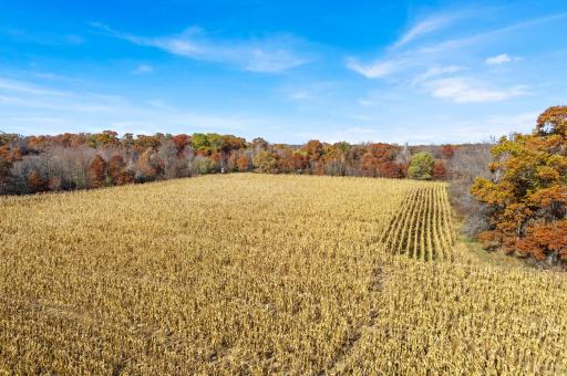 71xxx 165th Avenue SE, Becker, MN 55308