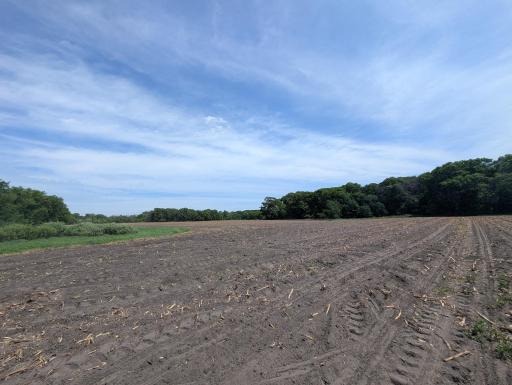 71xxx 165th Avenue SE, Becker, MN 55308