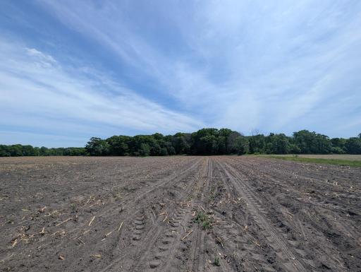71xxx 165th Avenue SE, Becker, MN 55308
